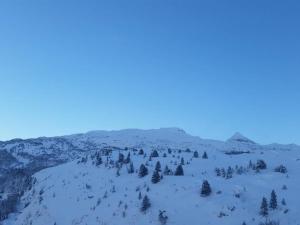 a snow covered hill with trees and mountains at Studio ski, 4 pers, parking gratuit, proche pistes - FR-1-602-97 in Arette +2 photos
