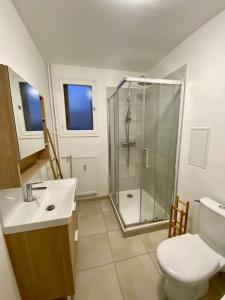 uma casa de banho com um chuveiro, um WC e um lavatório. em Petit cocon avec Balcon au centre de Marseille em Marselha
