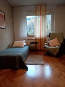 a bedroom with a bed and a chair and a window at Riverside Villa Avo - Apartment AVO in Spodnja Idrija