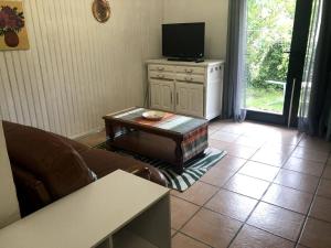 een woonkamer met een bank en een tv bij Appartement Prats-de-Mollo-la-Preste, 2 pièces, 5 personnes - FR-1-659-58 in Prats-de-Mollo-la-Preste