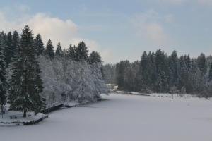 Hotel Waldsee v zimě