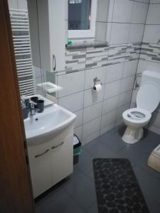 a bathroom with a white toilet and a sink at Sobe Sky in Fužine