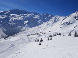 a snow covered mountain with trees on a ski slope at Appartement Les Adrets-Prapoutel, 2 pièces, 5 personnes - FR-1-557-66 in Les Adrets