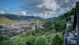 a view of a town with a river and mountains at Ferienwohnung Panorama Moselblick in Treis-Karden