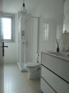 a bathroom with a toilet and a shower and a sink at A casa da Pena Vixia in Ourense
