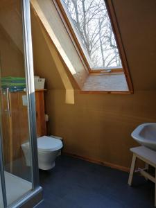 a bathroom with a toilet and a skylight at Ferienhof Idyll am kleinen Fließ in Burg