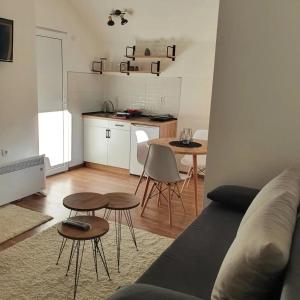 Köök või kööginurk majutusasutuses Vila Vrh