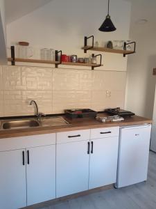 een keuken met witte kasten en een wastafel bij Vila Vrh in Crni Vrh