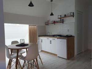 a kitchen with a table and chairs in a room at Vila Vrh in Crni Vrh