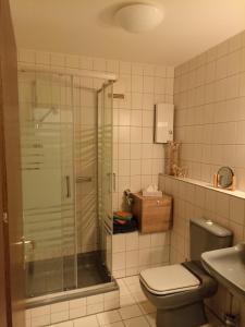 ein Bad mit einer Dusche, einem WC und einem Waschbecken in der Unterkunft Gemütliches Apartment in Bad Berneck in Bad Berneck im Fichtelgebirge