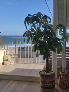A general sea view or a sea view taken from Az apartmant