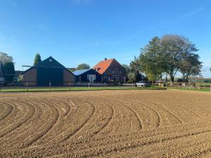 un campo de tierra con una casa en el fondo en B&B en Wellness de Waalhoeve en Angerlo