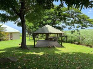 Zahrada ubytování Zabana Lodge, dans un jardin tropical avec piscine