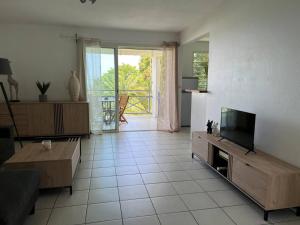 TV a/nebo společenská místnost v ubytování Zabana Lodge, dans un jardin tropical avec piscine