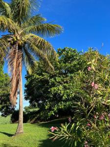 Zahrada ubytování Zabana Lodge, dans un jardin tropical avec piscine