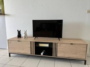 TV a/nebo společenská místnost v ubytování Zabana Lodge, dans un jardin tropical avec piscine