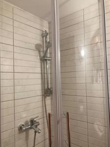 y baño con ducha y puerta de cristal. en Planinska kuća na Velebitu, s pogledom na more, en Alan Stinički