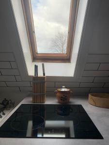 a kitchen with a skylight and a pot under a window at Casa Bianca in Fehmarn