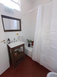 a bathroom with a sink and a shower curtain at Aristobulo in Buenos Aires