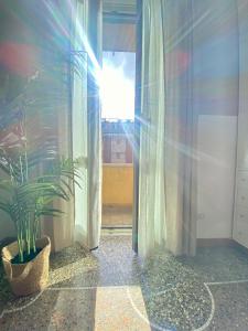 un pasillo con una maceta y una ventana en La Casa di Miele - Center Rome apartment, en Roma