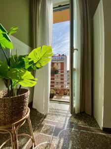 Una planta en una silla en una habitación con ventana en La Casa di Miele - Center Rome apartment, en Roma