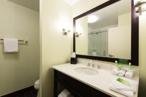 a bathroom with a sink and a mirror at Holiday Inn Express & Suites Aiken, an IHG Hotel in Aiken
