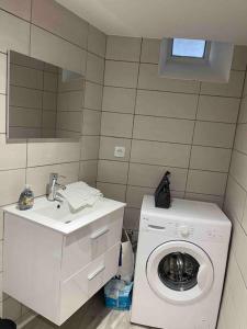 une salle de bains avec lave-linge et lavabo dans l'établissement Le Puy en Velay: Charme et confort centre ville, au Puy-en-Velay 3 autres photos
