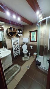 a bathroom with a toilet and a shower and a sink at Vikendica Kločanica in Strmosten