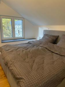 ein großes Bett in einem Schlafzimmer mit zwei Fenstern in der Unterkunft FederKern Simonskall in Hürtgenwald