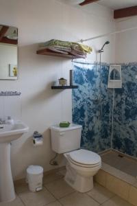 y baño con ducha, aseo y lavamanos. en Cabañas Ecologicas Alto Cañizares, en Bahía Inglesa