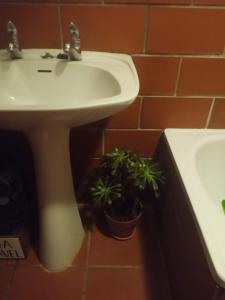 a bathroom with a sink and two potted plants at Monte da Samarra - Alojamento Local in Avis