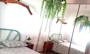 1 dormitorio con 2 camas y plantas en la pared en H2A en Aroeira