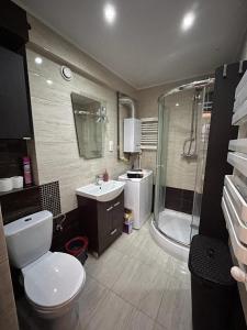 a bathroom with a toilet and a sink and a shower at Luxury apartaments Klimatyzacja 2 in Radom
