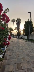 a stone walkway with palm trees in a park at Apartamento Playa Las Americas in Playa de las Americas