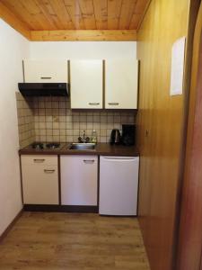 Kuchyňa alebo kuchynka v ubytovaní Gästehaus Gschwandtner