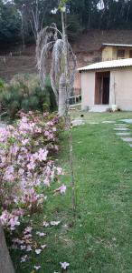 um jardim com flores cor-de-rosa e uma casa em Casa Grande da Montanha - Sítio Pasangas em Santo Antônio do Pinhal