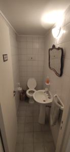 La salle de bains est pourvue de toilettes, d'un lavabo et d'un miroir. dans l'établissement Hermoso apartamento en Cdad de Bs As, à Buenos Aires