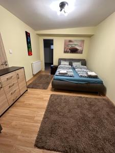 尼賴吉哈佐的住宿－City Apartman，一间卧室配有一张床、梳妆台和地毯。
