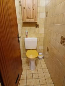 uma casa de banho com um WC com uma tampa amarela em Appartment Christine Bad Aussee em Bad Aussee