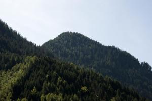 ein Berg voller Bäume mit dem Himmel im Hintergrund in der Unterkunft Haus Deiser in Kappl