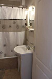 baño con lavabo y cortina de ducha en Petit depto en mar del plata en Mar del Plata