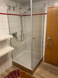 a shower with a glass door in a bathroom at Fewo Stein in Altenbeken