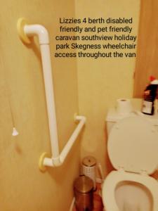 a bathroom with a toilet with a handicap railing at Southview holiday park skegness disabled friendly in Skegness