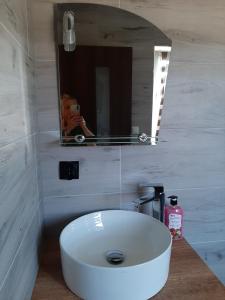 a bathroom with a white sink and a mirror at Czarny Potok Domki całoroczne in Czarna