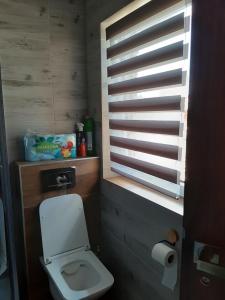 a bathroom with a white toilet and a window at Czarny Potok Domki całoroczne in Czarna