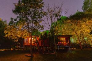 a tree house with people sitting in it at night at Posada Camboatá in Aristóbulo del Valle