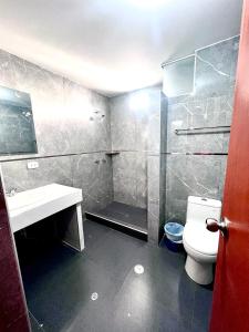 uma casa de banho com um WC, um lavatório e um chuveiro em HOTEL DORADO AREQUIPA em La Apacheta