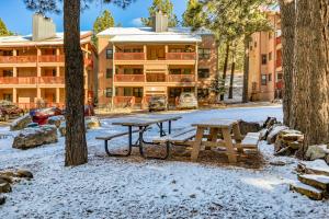 a picnic table in the snow in front of a building at Outdoor Hideout in Angel Fire