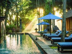 una piscina con tumbonas y sombrillas azules en Novotel Bogor Golf Resort, en Bogor
