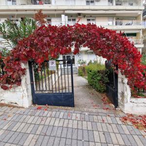a gate with a bunch of red flowers on it at Best minimal studio in Xanthi - myHomee in Xanthi